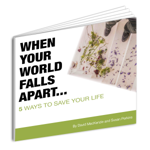 When Your World Falls apart Survival Guide
